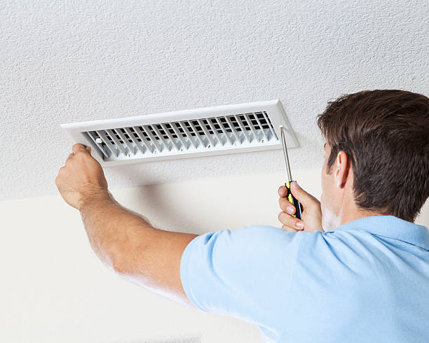 Best Mold Prevention Services  in Winnebago, MN