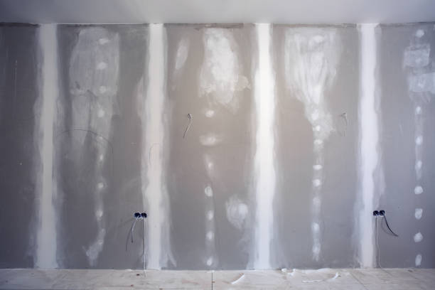 Best Basement Mold Removal  in Winnebago, MN